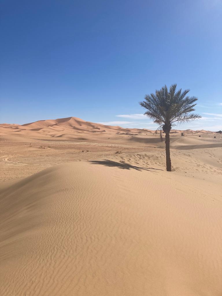 Un Viaje por la vida… De pastor en las arenas del desierto a emprendedor de guía turístico.