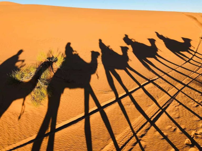 Tour 5: MARRAKECH-DESIERTO MERZOUGA-MARRAKECH (6 días/5 noches) – “SAHARA TIME”.