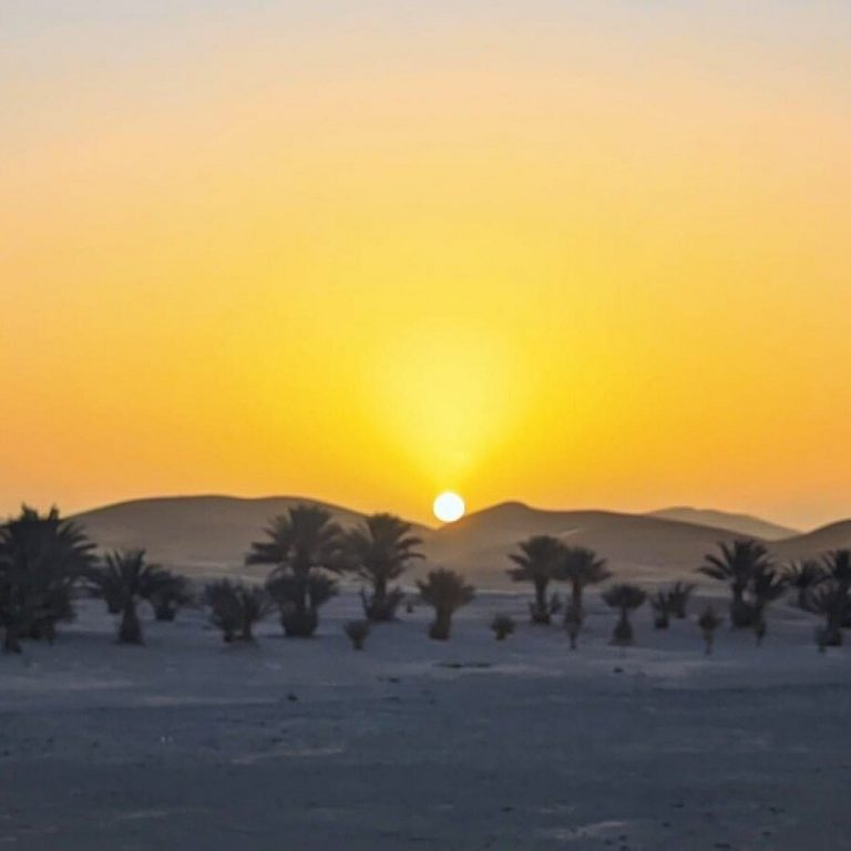 VIAJES AL DESIERTO SIN LIMITES